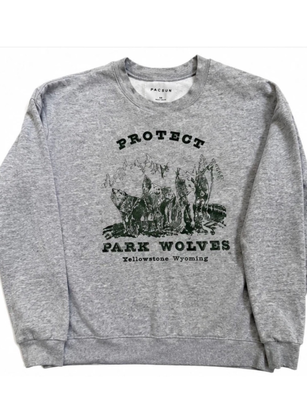PacSun Gray Graphic Crewneck Sweatshirt Womens XS Pullover